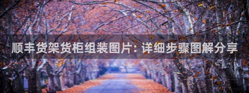 杏运平台招商
