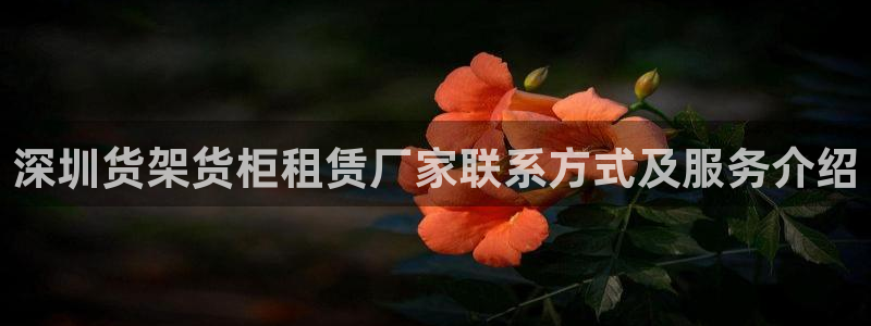 杏运登录