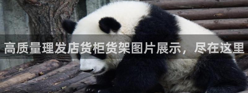 杏运体育官方网址