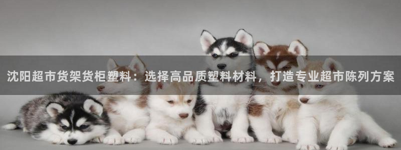 杏运体育平台