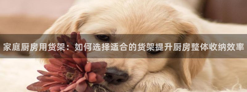 杏运平台注册登录