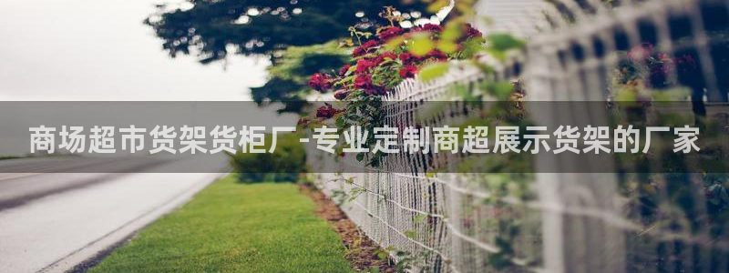 杏运平台代理
