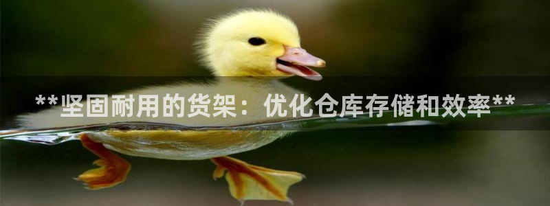 杏运注册登录地址