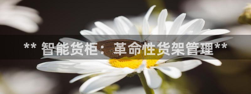 杏运体育官方网址