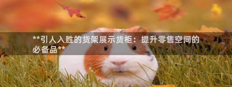 杏运汽车招商