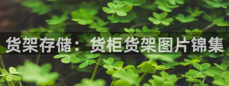 杏运汽车招商