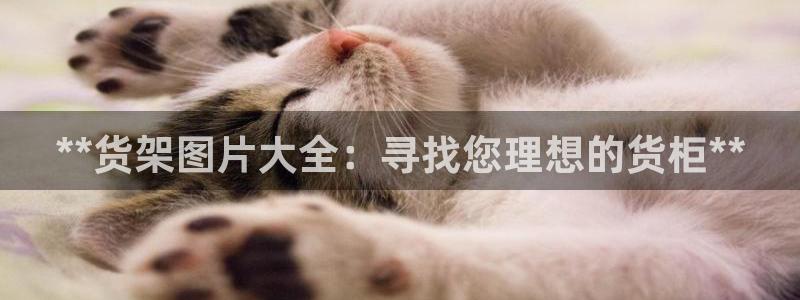 杏运体育官网