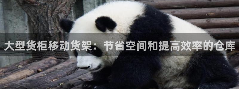 杏运汽车
