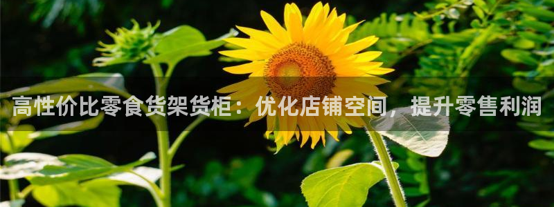 杏运体育平台正规吗安全吗
