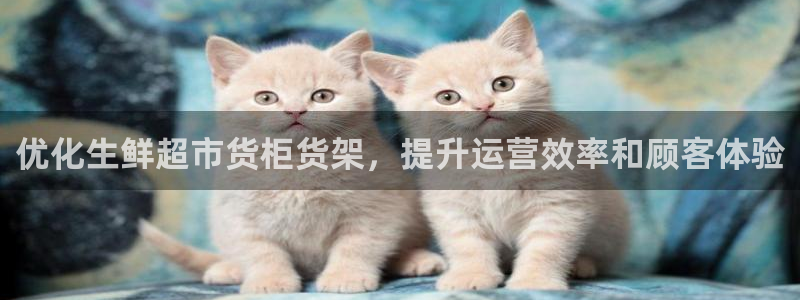 杏运登录