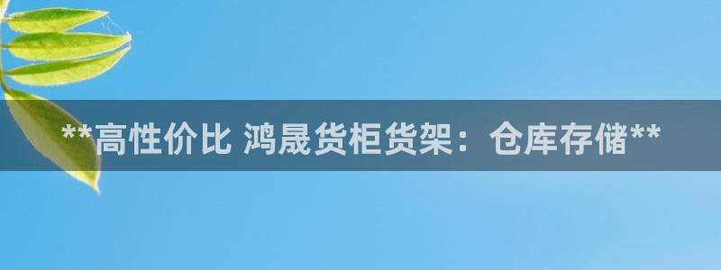 杏运平台注册：**高性价比 鸿晟货柜货架