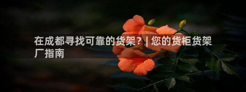 杏运体育平台正规吗安全吗：在成都寻找可靠