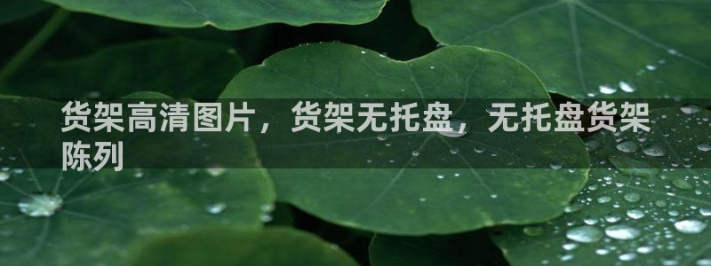 杏运体育登录：货架高清图片，货架无托盘，