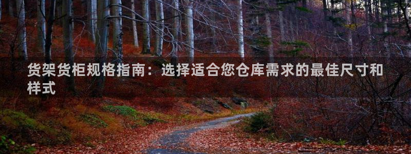 杏运平台官网：货架货柜规格指南：选择适合