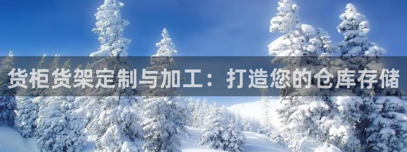 杏运体育app：货柜货架定制与加工：打造